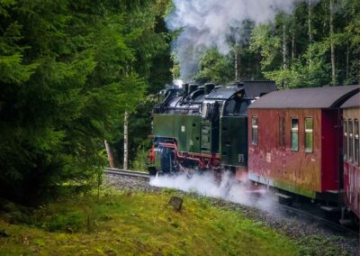 Zug Harzer Schmalspurbahn