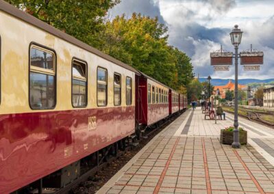 Waggons Harzer Schmalspurbahn